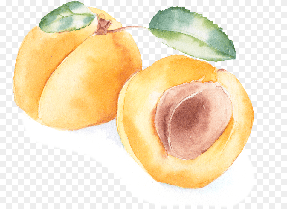 Fruit, Food, Plant, Produce Free Transparent Png