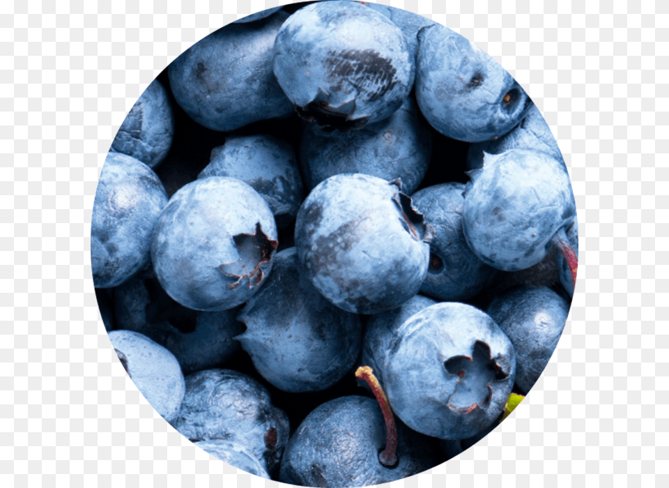 Fruit Acid From Blueberry Wirkstoff Fruit Ac, Berry, Food, Plant, Produce Png
