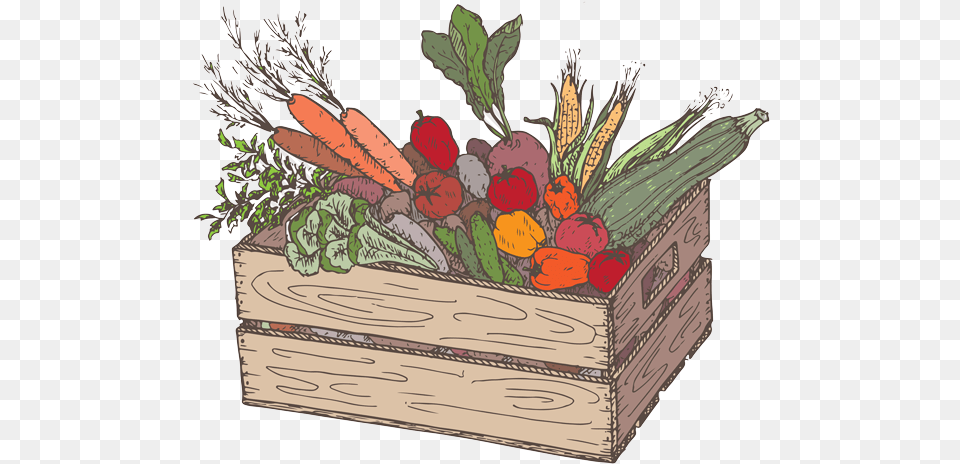 Fruit Amp Vegetable Box Sketch, Plant, Potted Plant, Food, Produce Free Png Download