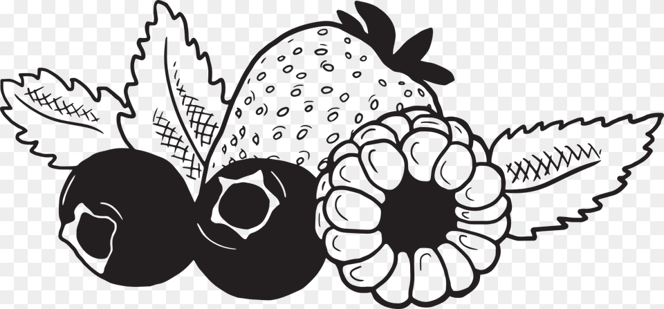 Fruit And Cheese Black And White, Berry, Produce, Food, Plant Png