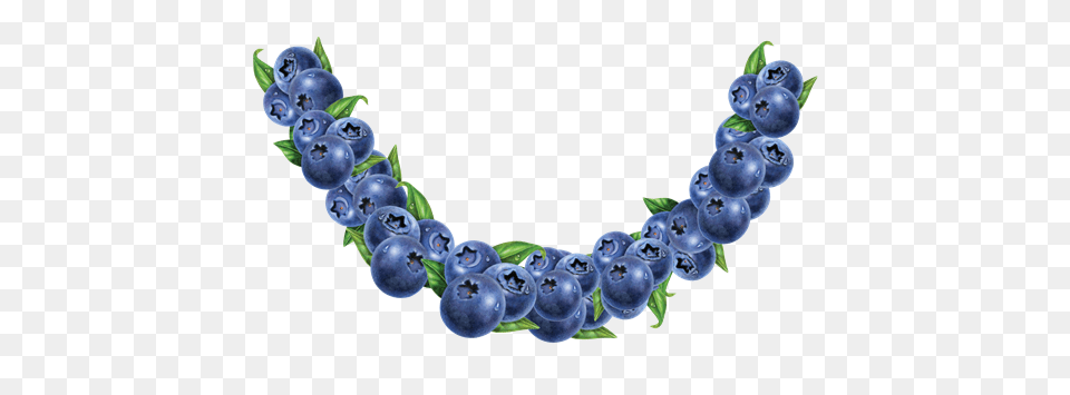 Fruit Bowl Blueberry, Berry, Food, Plant, Produce Free Png