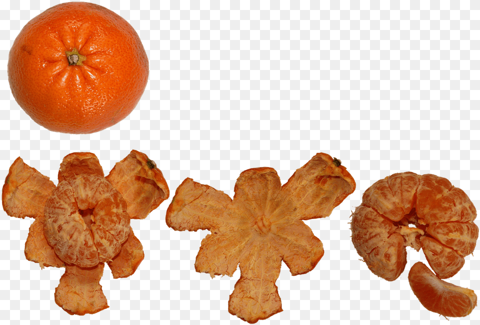 Fruit Citrus Healthy Fresh Mandarin Orange, Citrus Fruit, Food, Grapefruit, Plant Free Png Download