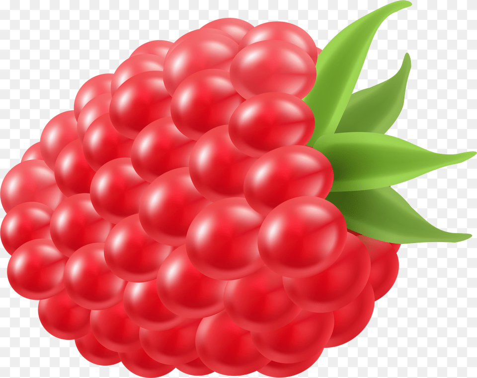 Fruit Clipart Raspberry Raspberry Clipart Free Png