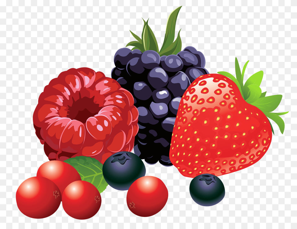 Fruit Clipart Suggestions For Fruit Clipart Download Fruit Clipart, Berry, Blueberry, Food, Plant Free Png