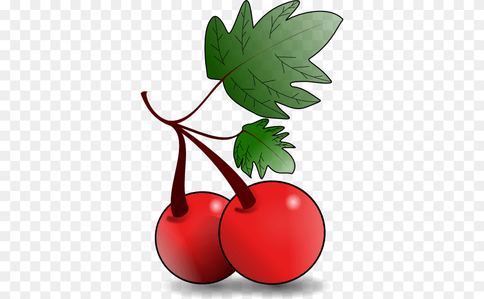 Fruit Cliparts, Cherry, Food, Plant, Produce Png Image