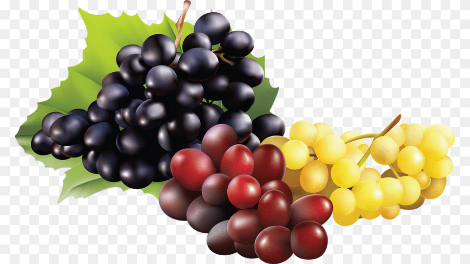 Fruit De Raisin, Food, Grapes, Plant, Produce Png