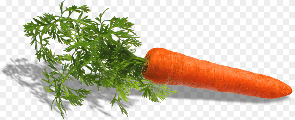 Fruit Et Legumes Carrot, Food, Plant, Produce, Vegetable Free Png Download