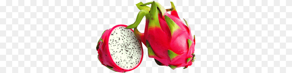 Fruit Frozen By Viet Cuisine Trading Fruit Drakenfruit, Food, Plant, Produce, Flower Free Png Download