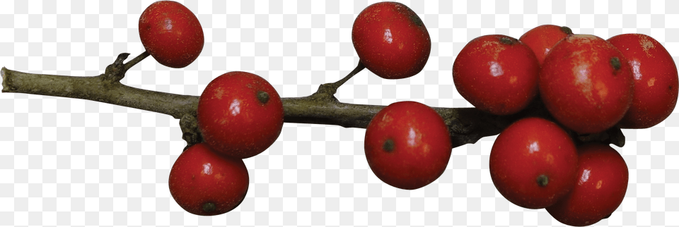 Fruit Holly Berries Red, Food, Plant, Produce, Cherry Png Image