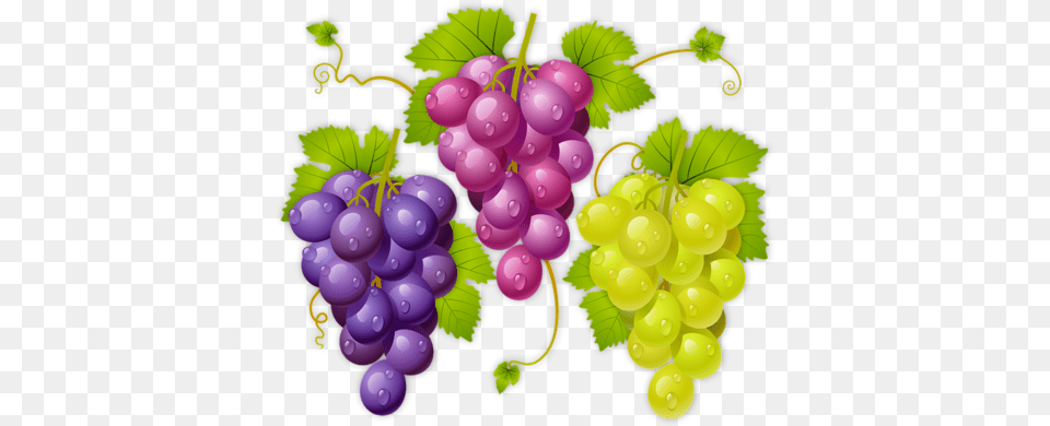 Fruit Imagenes D Uva, Food, Grapes, Plant, Produce Free Png Download