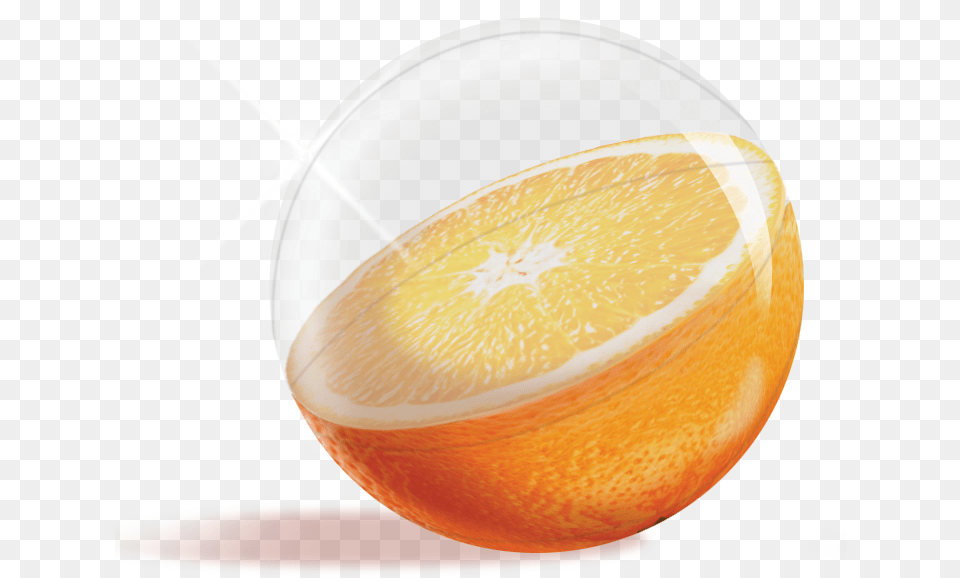 Fruit Inflatable Beach Ball, Citrus Fruit, Food, Orange, Plant Free Png