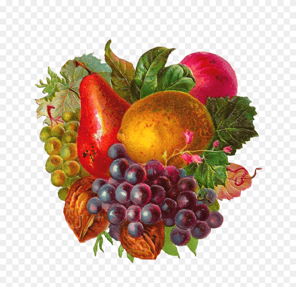 Fruit Mix, Food, Grapes, Plant, Produce Free Png