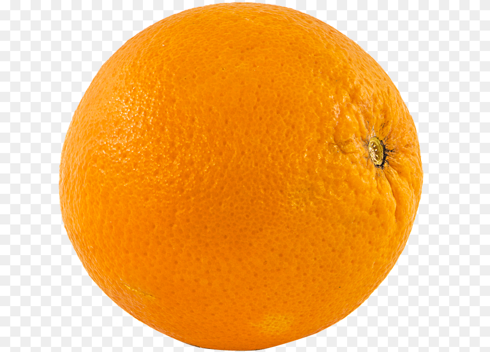 Fruit Orange Blood Orange, Citrus Fruit, Food, Grapefruit, Plant Free Png