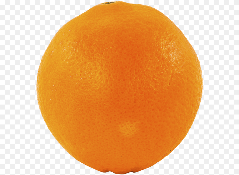 Fruit Orange Transparent Cutout Blood Orange, Citrus Fruit, Food, Grapefruit, Plant Png Image