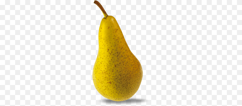Fruit Pear, Food, Plant, Produce Free Transparent Png