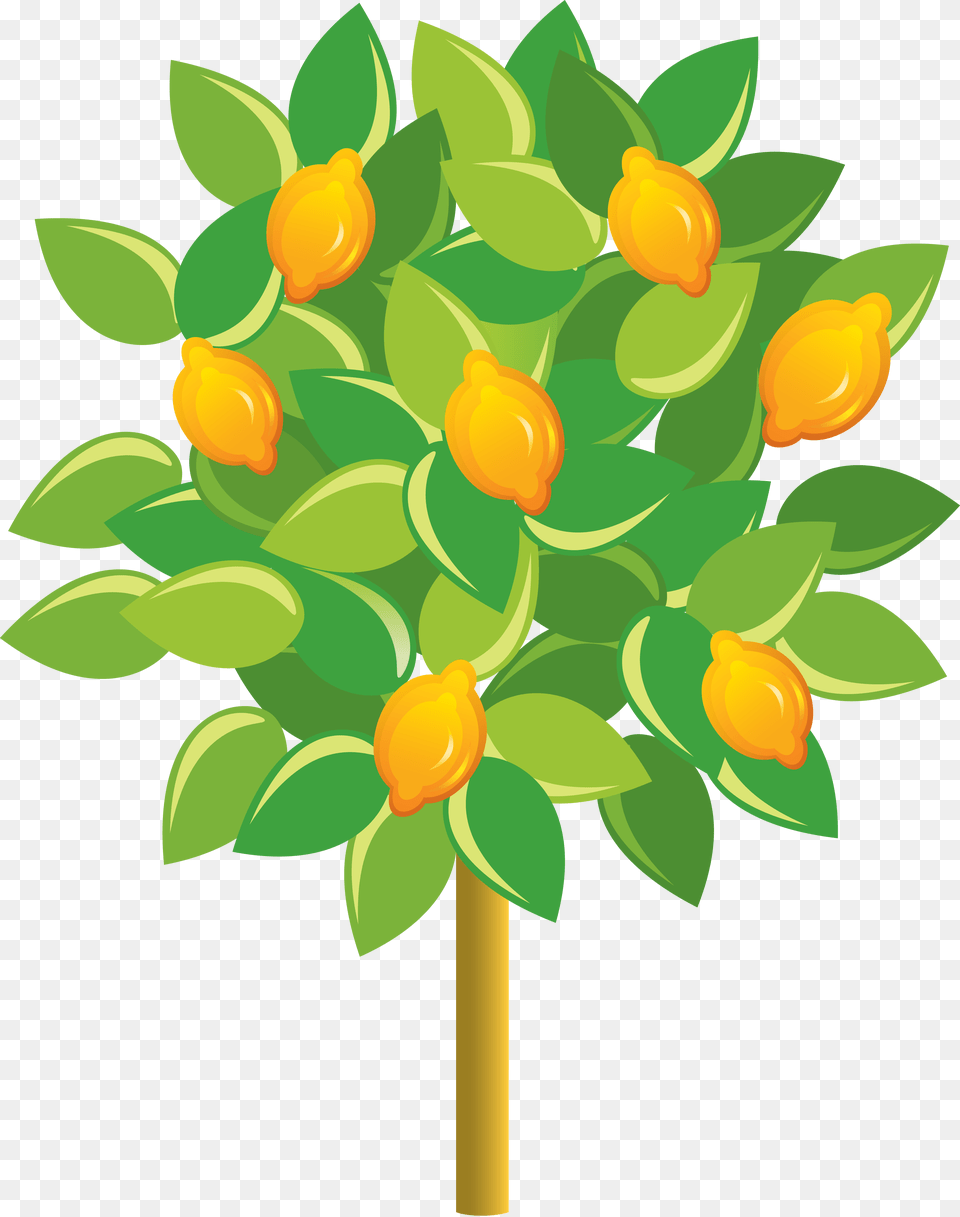Fruit Tree, Citrus Fruit, Produce, Plant, Leaf Png Image