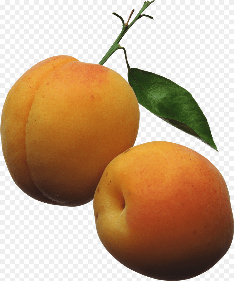 Fruit Tree Apricots Clipart, Food, Plant, Produce, Apricot Free Png