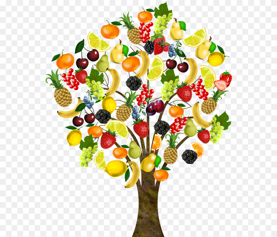 Fruit Tree Background, Berry, Produce, Plant, Strawberry Free Png