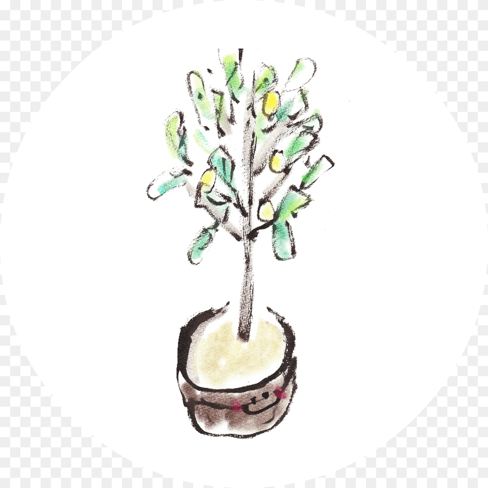 Fruit Tree Cake Cake, Plant, Dish, Food, Meal Free Png