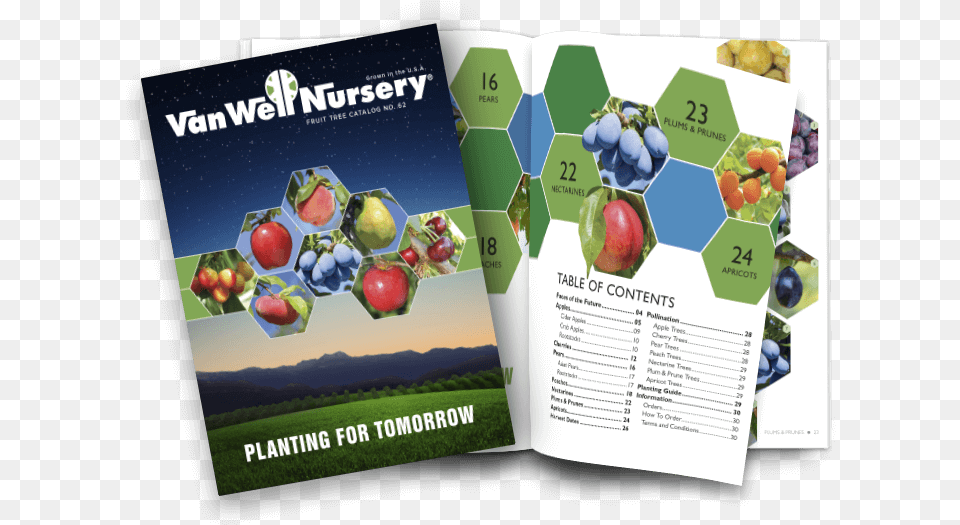Fruit Tree Catalog No Flyer, Advertisement, Poster, Apple, Food Free Png Download