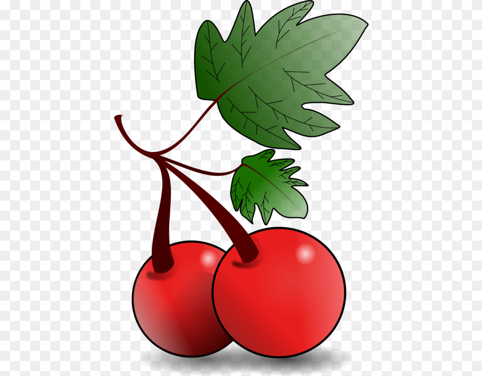 Fruit Tree Cherry Drawing, Food, Plant, Produce, Person Free Png Download