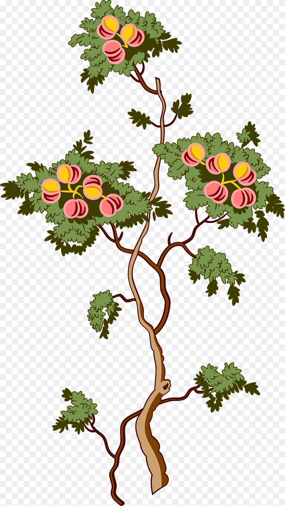 Fruit Tree Clipart, Art, Graphics, Pattern, Floral Design Free Png Download