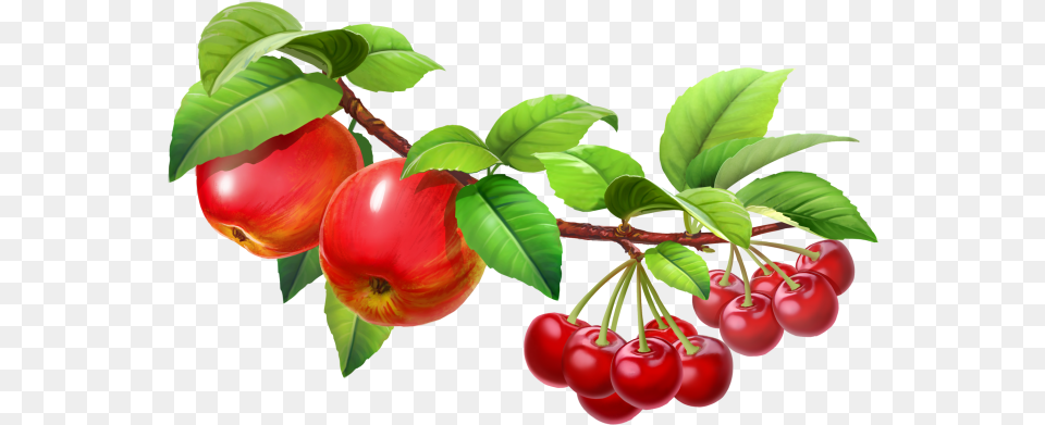 Fruit Tree Juice Fruit Splash, Food, Plant, Produce, Cherry Free Png