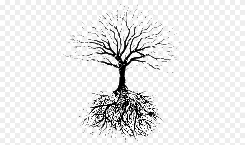 Fruit Tree Root Drawing Faribault Evangelical Church Tree Vector With Roots, Art, Plant Free Png Download