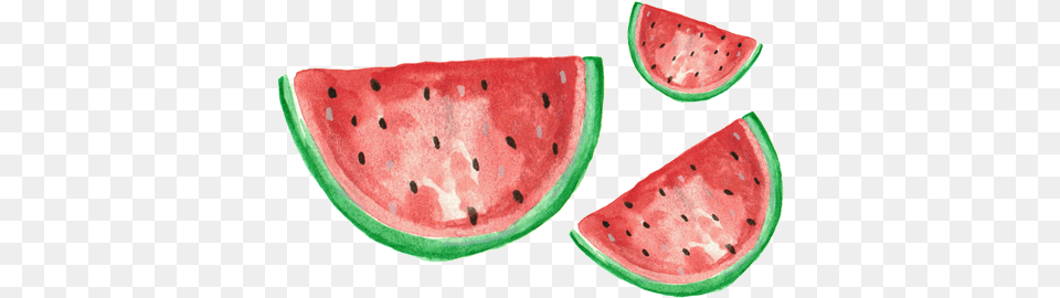 Fruit Tumblr, Food, Plant, Produce, Melon Free Transparent Png