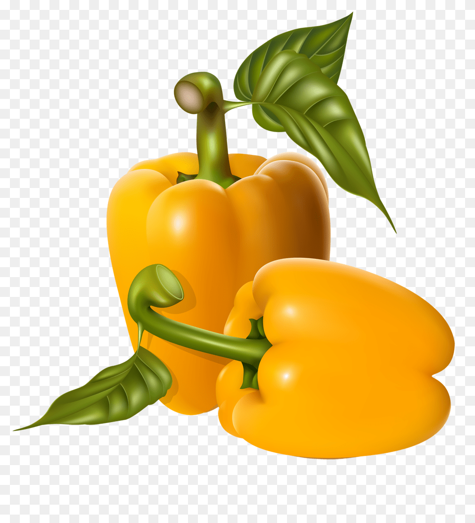 Fruit Vegetable Vegetables, Bell Pepper, Food, Pepper, Plant Png