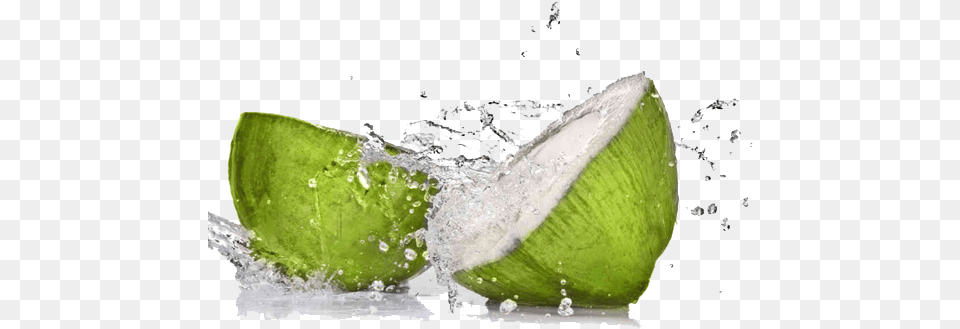 Fruit Water Splash Download Clip Refreshing Coconut, Food, Plant, Produce, Pear Free Transparent Png