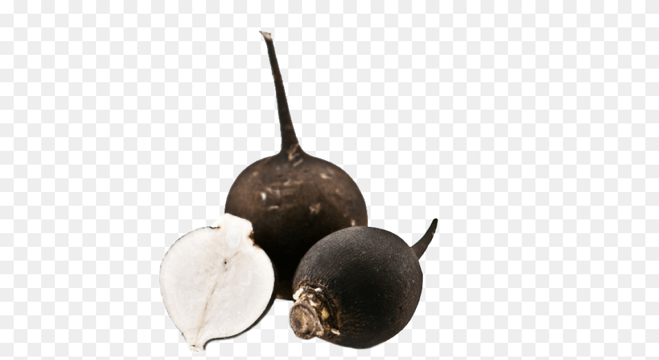 Fruit With White Flesh Black Skin, Food, Produce, Plant, Radish Free Transparent Png