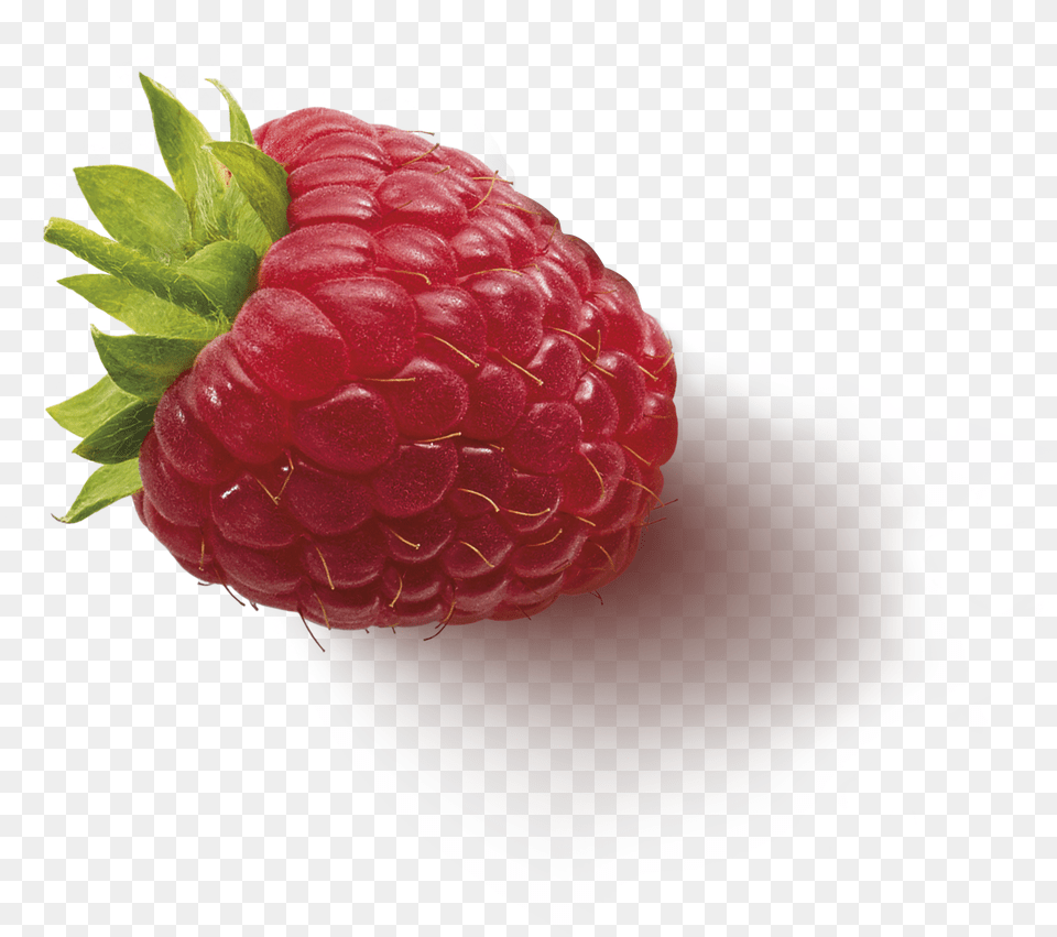 Fruitinfusion Forestfruit Ingredient2 Raspberry, Berry, Food, Fruit, Plant Png Image