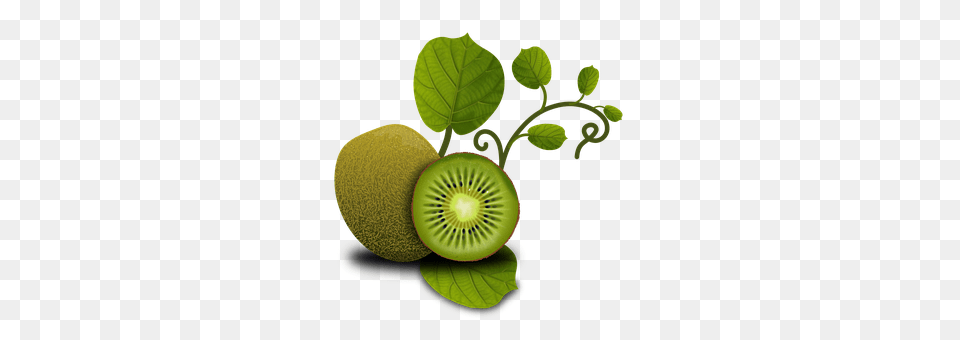 Fruits Food, Fruit, Kiwi, Plant Free Png