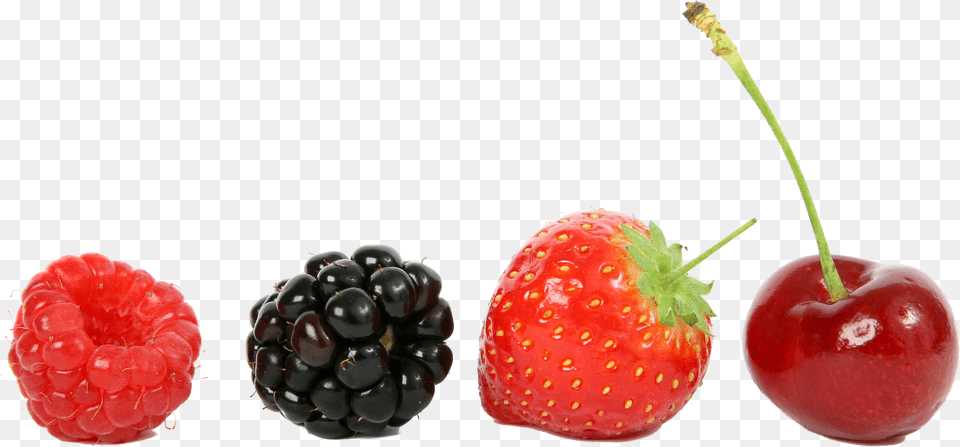 Fruits, Berry, Food, Fruit, Plant Free Png