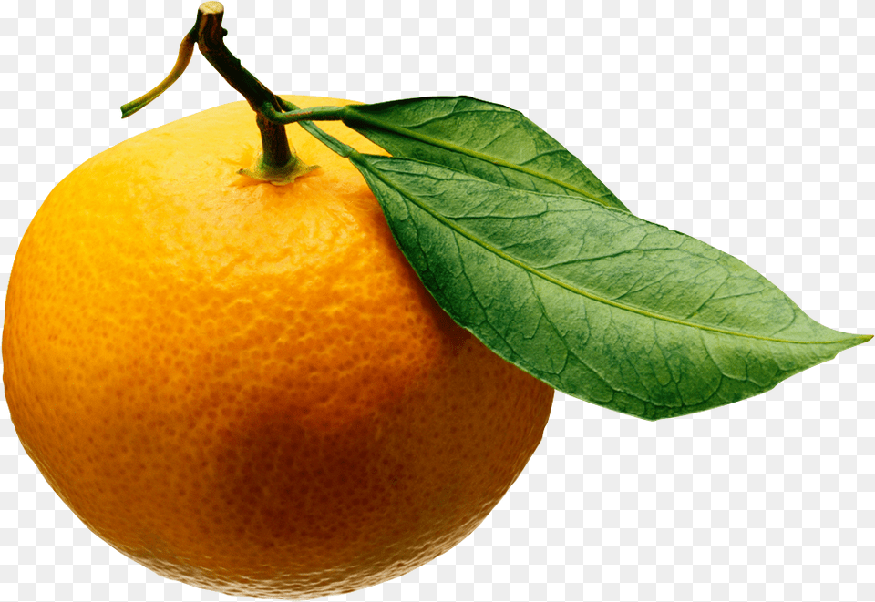 Fruits And Vegetables On Transparent Disease Cycle Of Citrus Greening, Citrus Fruit, Food, Fruit, Grapefruit Png