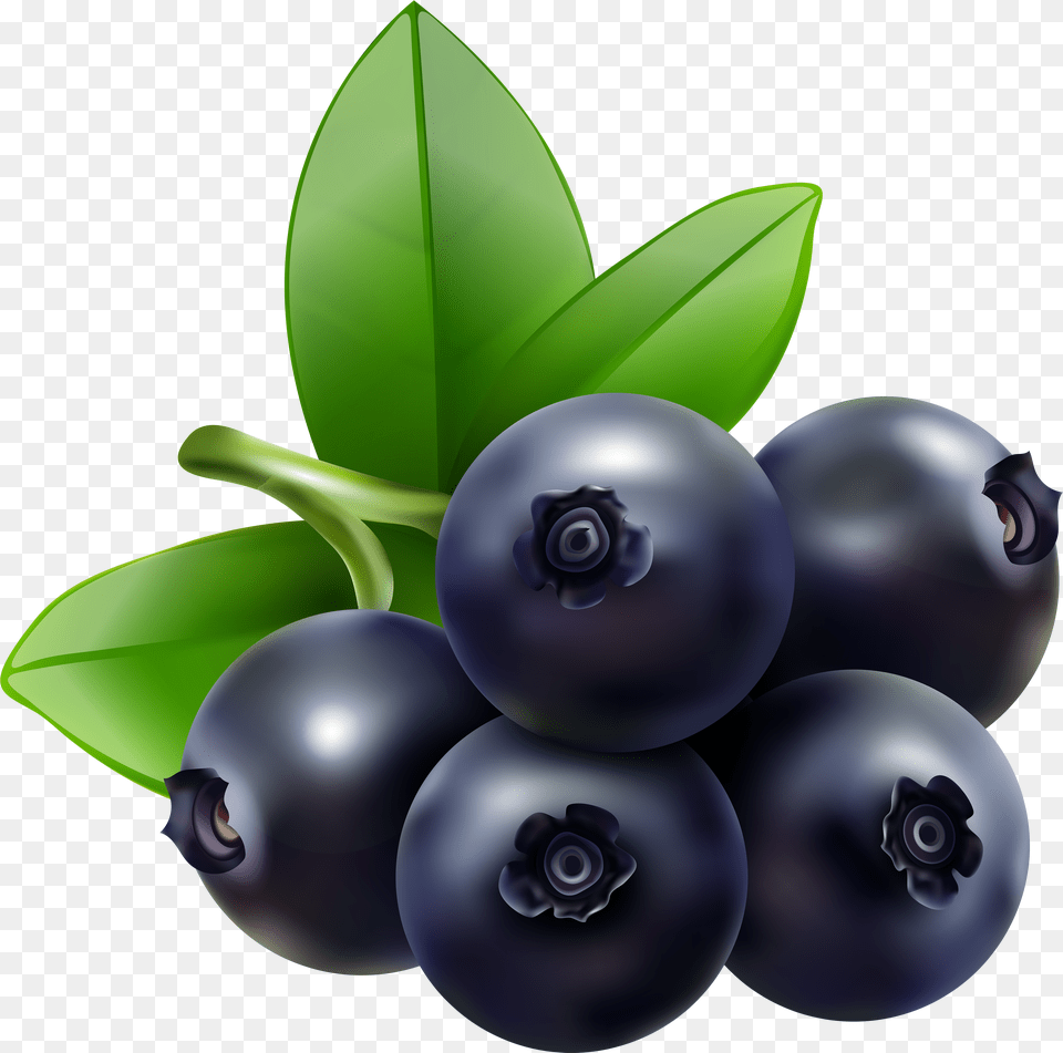 Fruits Blueberry Transparent Clipart Blueberries, Electronics, Animal, Bear, Giant Panda Free Png Download