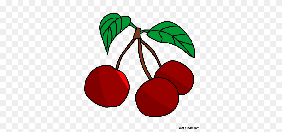 Fruits Clip Art Images And Graphics, Cherry, Food, Fruit, Plant Png Image