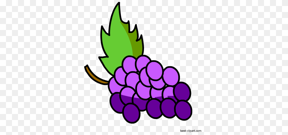 Fruits Clip Art Images And Graphics, Food, Fruit, Grapes, Plant Png Image
