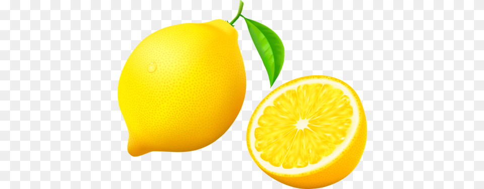 Fruits Clipart Lemon Lemon Clipart, Citrus Fruit, Food, Fruit, Plant Free Png