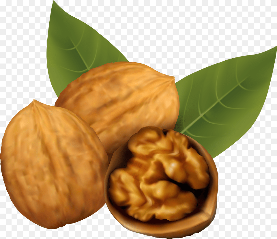 Fruits Clipart Nuts Walnut Clipart Png