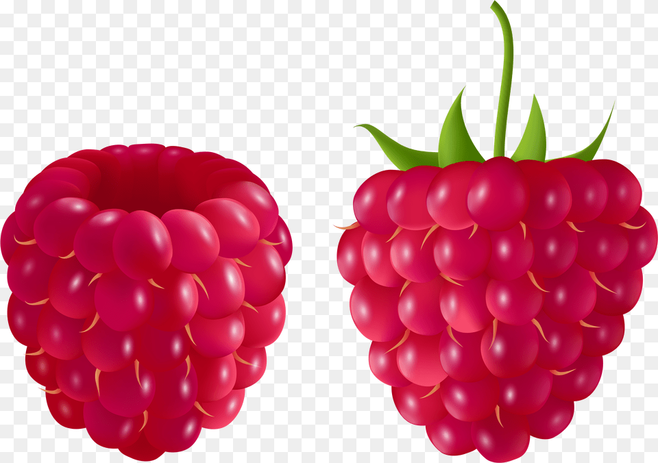 Fruits Clipart Transparent Background Raspberry Clipart Free Png