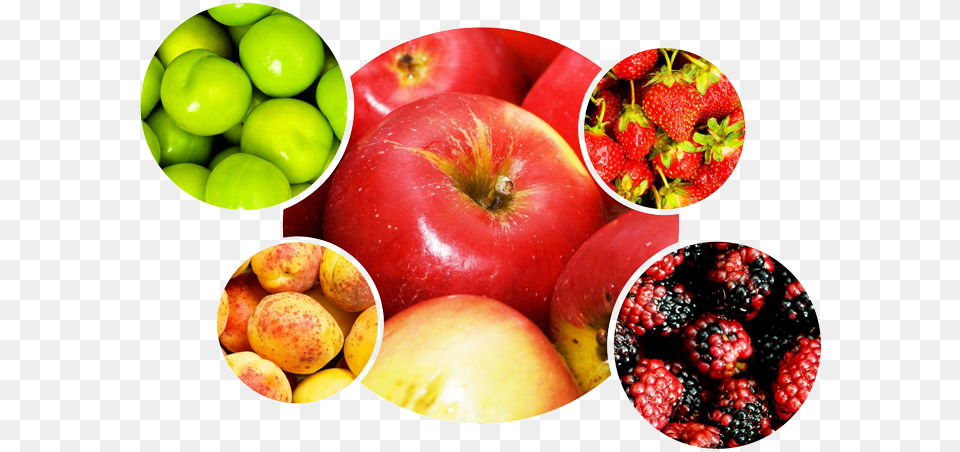 Fruits Et Legumes, Berry, Food, Fruit, Plant Free Png