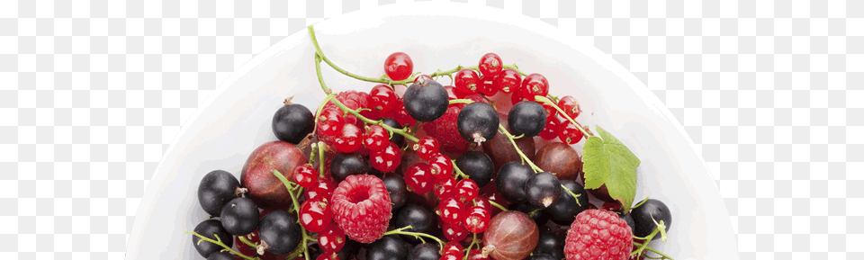 Fruits From A Z Plate Of Fruits, Berry, Blueberry, Food, Fruit Free Transparent Png