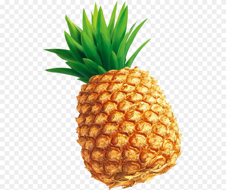 Fruits Images Real Illustration Pineapple, Food, Fruit, Plant, Produce Png Image