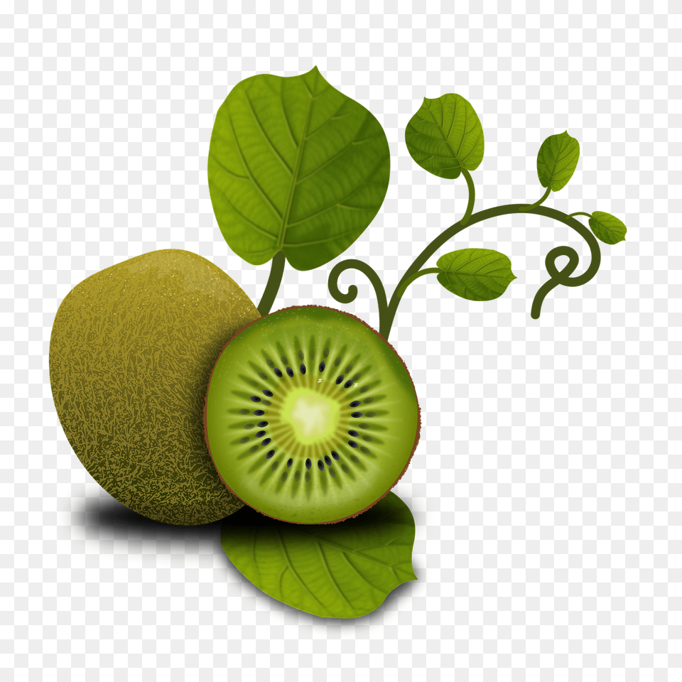 Fruits Kiwi Tropical Plants Vegetables, Food, Fruit, Plant, Produce Free Png