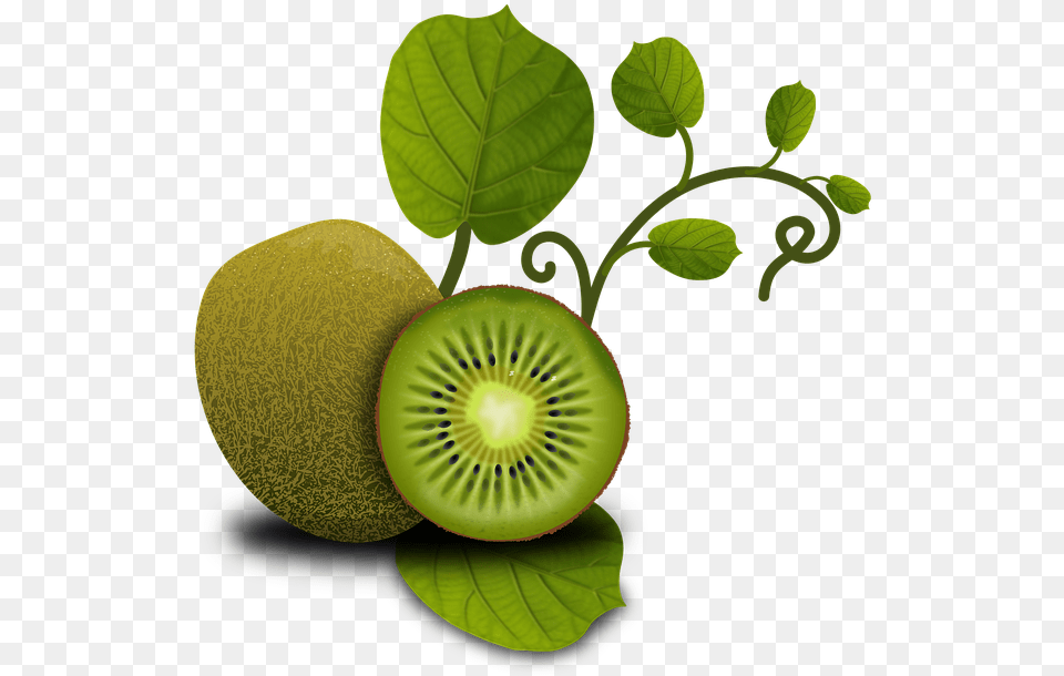 Fruits Kiwi Tropical Plants Vegetables Fruit Kiwi Leaves No Background, Food, Plant, Produce Png