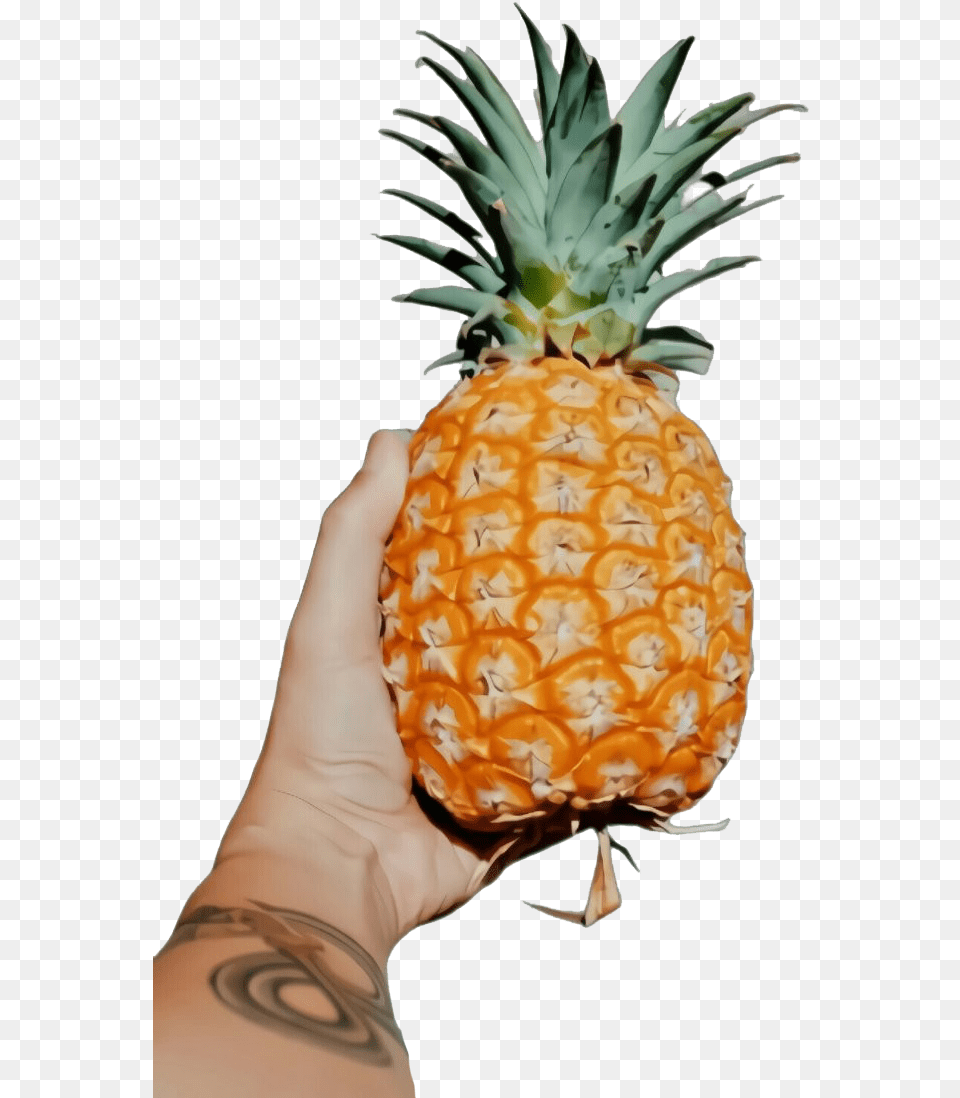 Fruits Real Pineapple, Food, Fruit, Plant, Produce Free Transparent Png