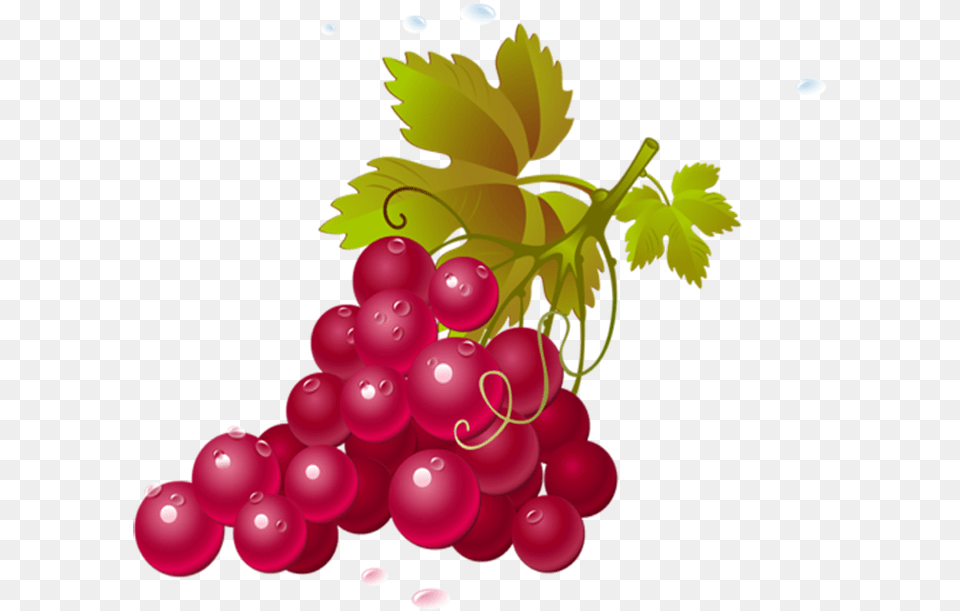 Fruits Transparent, Food, Fruit, Grapes, Plant Free Png