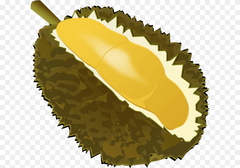 Fruits Transparent Durian Transparent Background Durian Icon, Food, Fruit, Plant, Produce Free Png Download